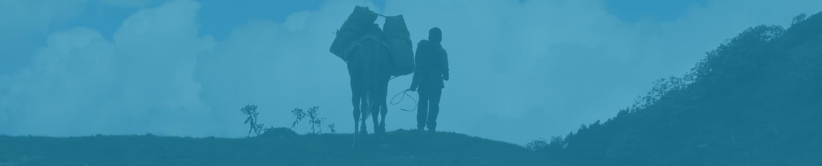 India Tours