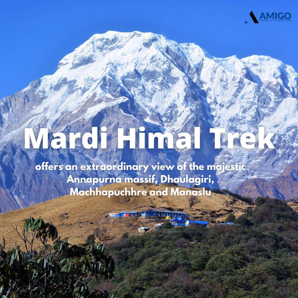 Top 5 Beginner-Friendly Treks in Nepal