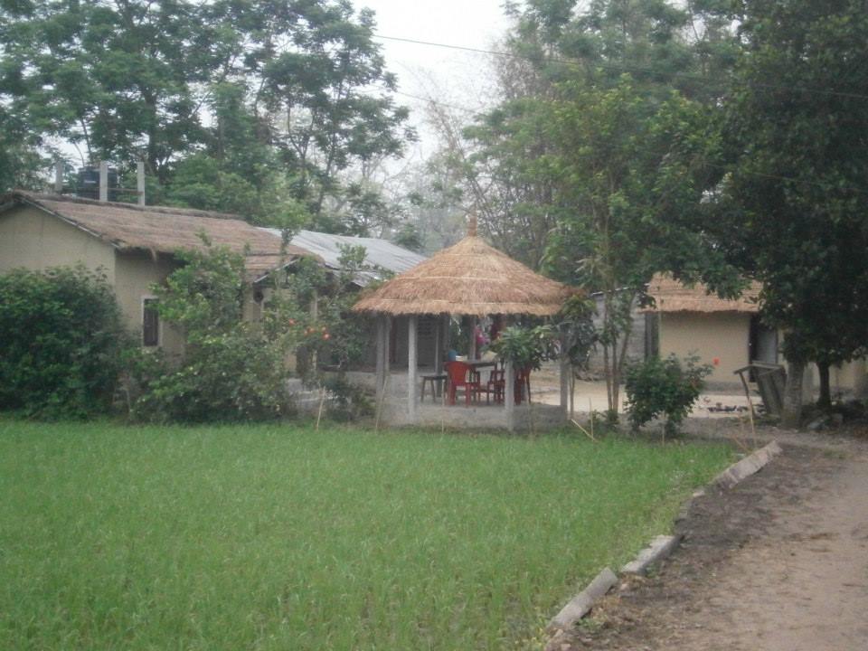 3 Days in the Chitwan National Park: Our Story of Jungle Safari in Nepal