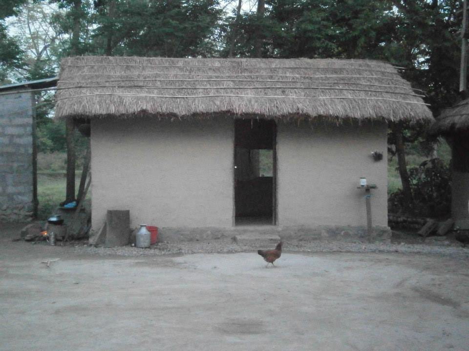 3 Days in the Chitwan National Park: Our Story of Jungle Safari in Nepal